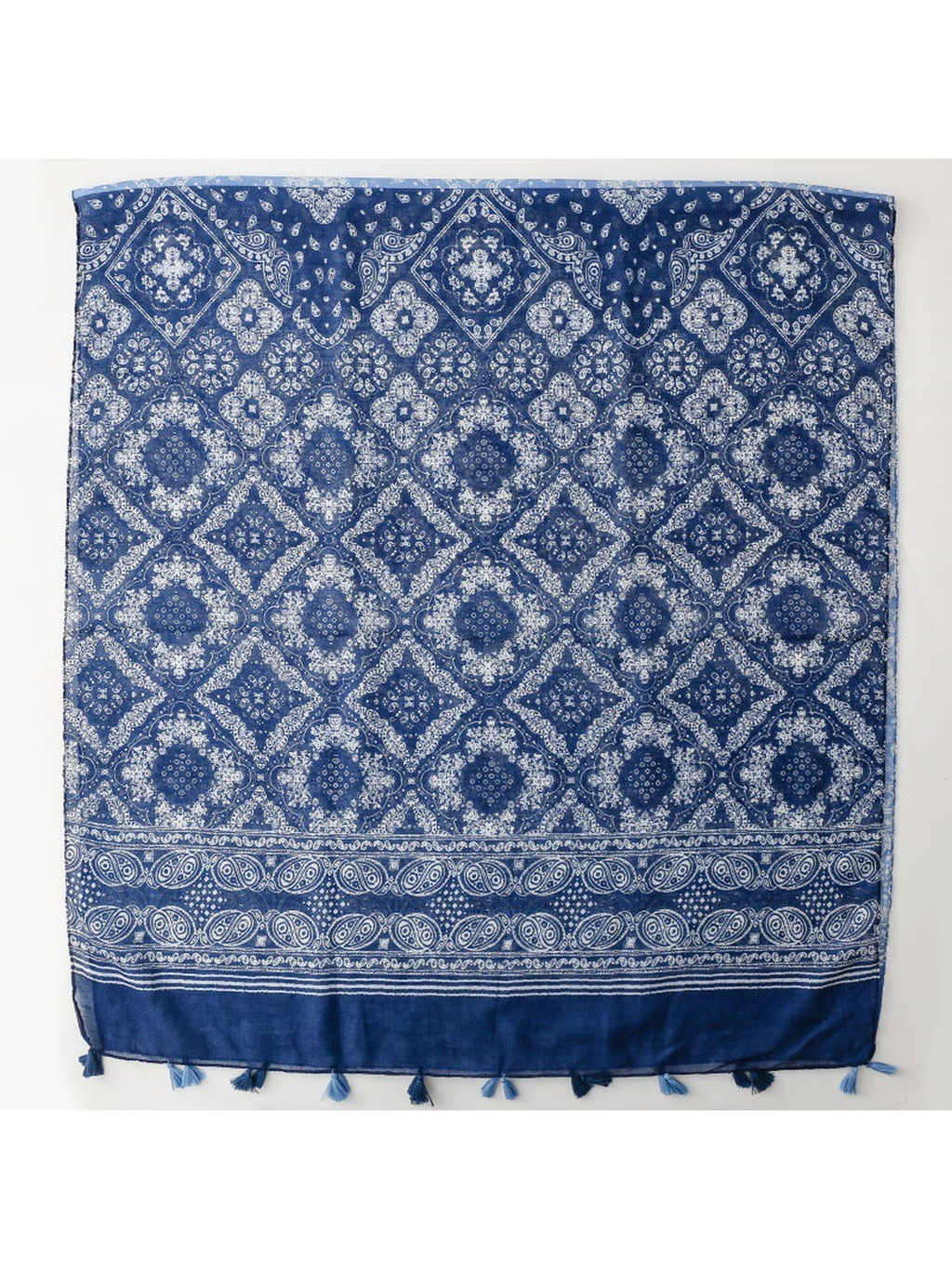 Scarvii - Paisley Border Tassel Scarf